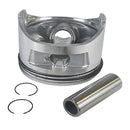 Piston Assembly Kit Suitable For Ford FG7750PE & FG9250PE