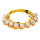 Defender E89816 22m LED Encapsulated Festoon String Lights 50W 110V